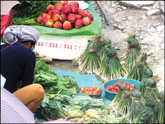 Street vendors are one of 126 occupations in the unorganized sector that stand to benefit from the Pradhan Mantri Shram- Yogi Maandhan pension scheme. (Morung Photo by Chizokho Vero)