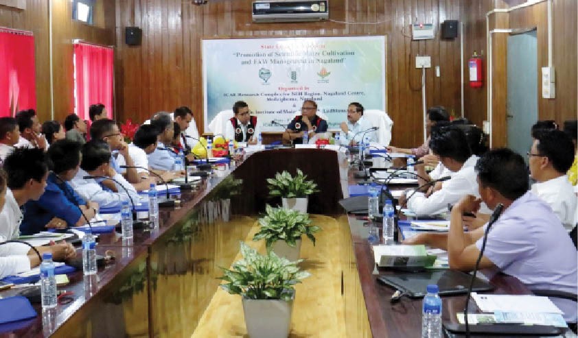 Officials who attended the state level workshop on scientific maize cultivation and FAW management at ICAR Medziphema on May 27. (DIPR Photo)