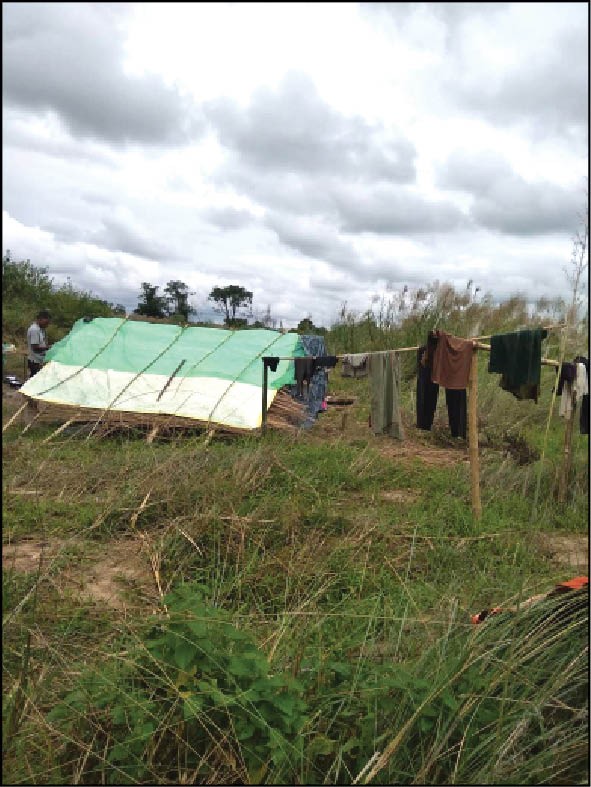 A file photo of erstwhile Inavi/Hevito village farming sites allegedly being cultivated now by Beisumpuikam village. The photo along with others were attached along with the memorandum to the Chief Minister.