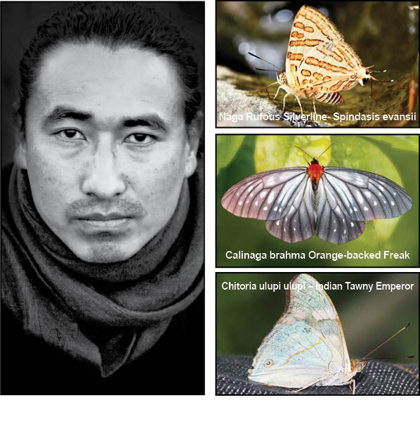 Tshetsholo Naro, the ‘Butterfly Man’ from Phek. (Right) Some of the images of butterfly species from Nagaland he photographed and documented. (Photo credit: Tshetsholo Naro)