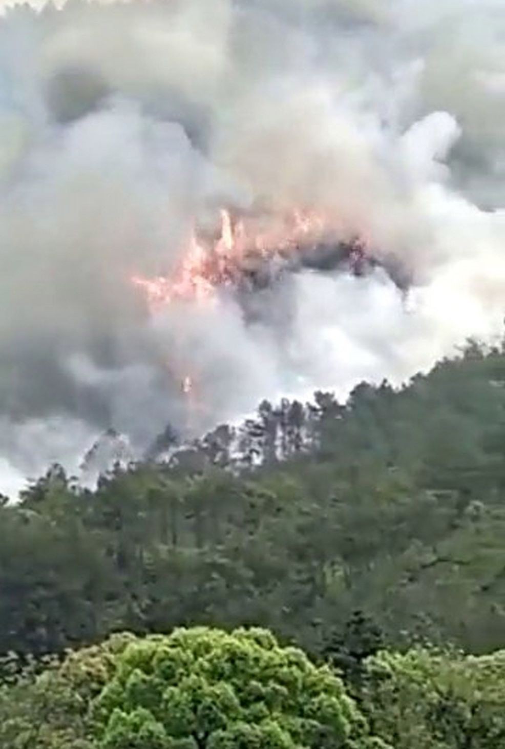 Chinese passenger plane with 132 aboard crashes in Guangxi province; casualties unknown