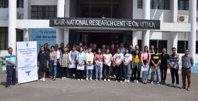 Training on “PCR and its uses in disease investigation” was organised by NRCM-ICAR, Nagaland for the students of Zoology Department, Patkai Christian College (Autonomous) from March 9 to 11 last.