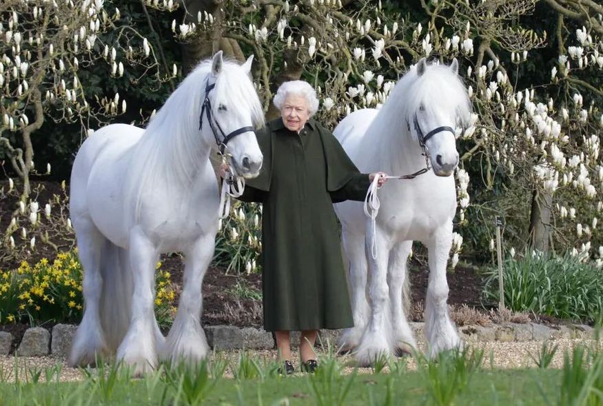 Love for horses marks 96th birthday of Britain's Queen