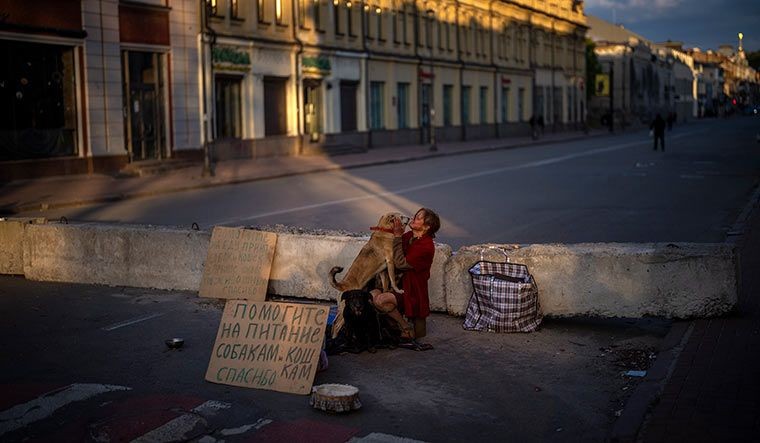 A woman in Kyiv begging for alms to feed her dogs even as the Russian invasion of Ukraine goes on with no end in sight | AP Photo