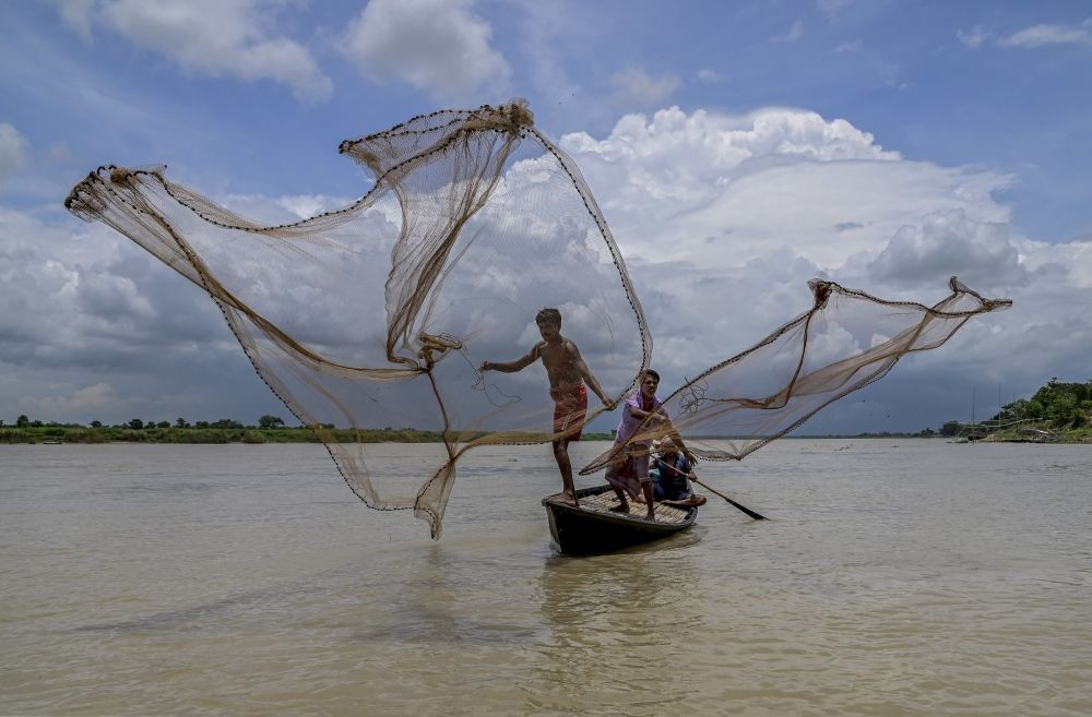Nadia: Fishermen spread fishing nets while sailing in the Hooghly river, in Nadia, Sunday, June 26, 2022. (PTI Photo)(