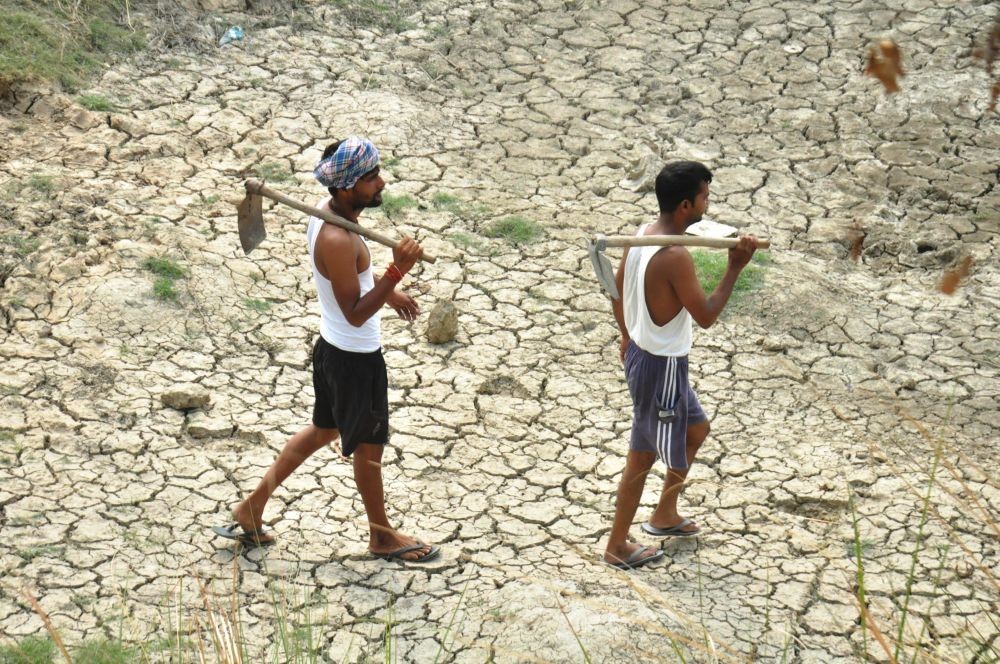 Moradabad: Farmers at a field on a hot summer day, at a village in Moradabad, Sunday, June 26, 2022. (PTI Photo)(