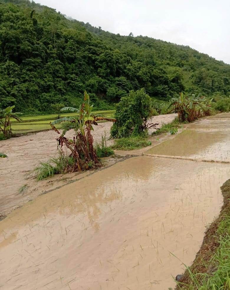 Portion of the field damaged by flash floods at Losami in Phek district on June 23.