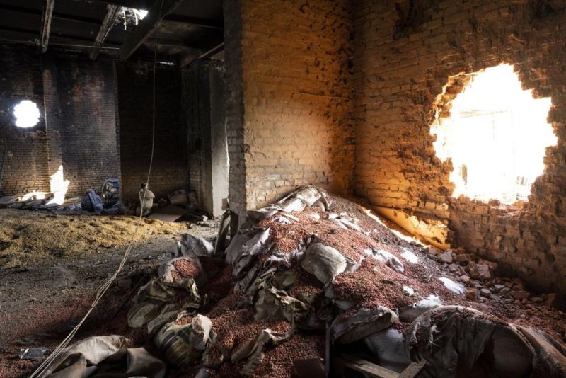Scattered grain sits inside a warehouse damaged by Russian attacks in Cherkaska Lozova, outskirts of Kharkiv, eastern Ukraine, May 28, 2022. Russia and Turkey voiced support Wednesday, June 8, 2022, for the creation of a safe maritime corridor in the Black Sea so Ukraine can export grain to global markets amid an escalating world food crisis. But Russia demanded that the Black Sea be demined and Turkey said allowing the Ukraine exports should be accompanied by easing Western sanctions against Russia. (AP File Photo)