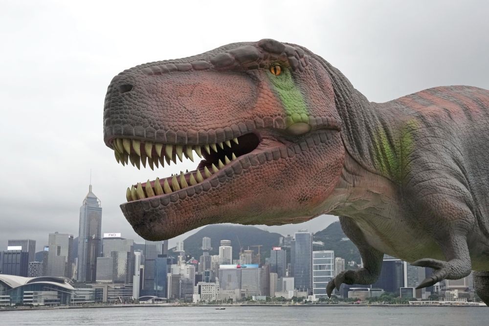 A robotic Tyrannosaurus dinosaur (T-Rex) installation is displayed during a media preview in the waterfront of Hong Kong as part of the events to celebrate the 25th anniversary of Hong Kong handover to China, Monday, June 6, 2022 AP/PTI