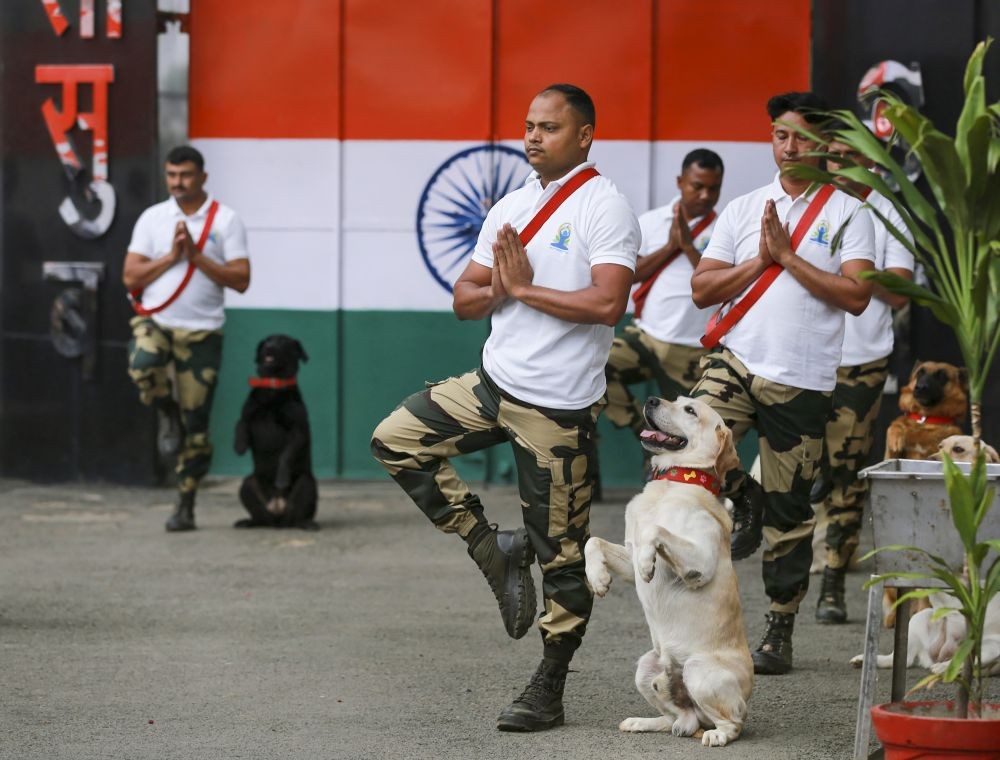 Jammu: Border Security Force (BSF) personnel with their sniffer dogs during a yoga session, on the occasion of the 8th International Day of Yoga, at Suchetgarh border post, in Jammu, Tuesday, June 21, 2022. (PTI Photo)