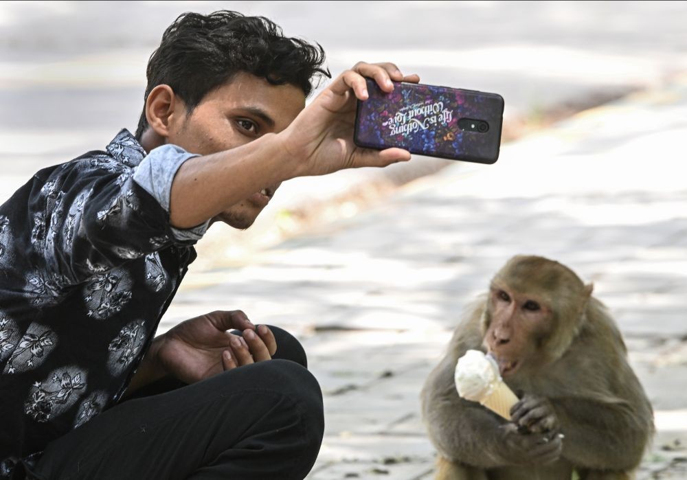 New Delhi: A man takes a selfie with a monkey eating an ice cream, on the eve of World Environment Day, in New Delhi, Saturday, June 4, 2022. (PTI Photo/Kamal Kishore)