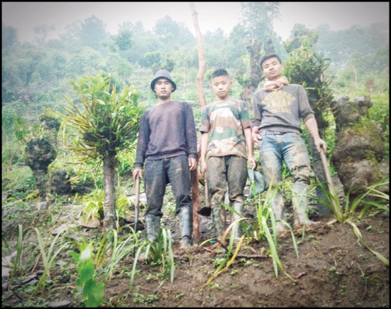 Siblings—Dr Kelühol Tase, Medolekho Tase and Sweyiekhüto Tase who planted 500 Rhododendron trees in Jakhama in a conservation exercise which took them over a month’s time.