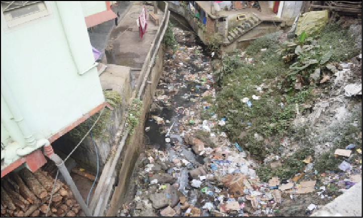 Improper waste disposal: Human and animal waste dumped into the drainages and streams have been found to contaminate ground water in Kohima. (Morung Photo)