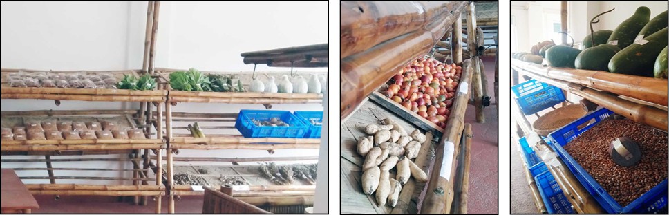 Local vegetables stacked at the Green Shelves store located at Lhomithi Colony, Dimapur. (Morung Photo)