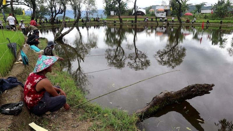 Participants taking part in an open Angling Competition was organised by Phesama Youth Organization with an aim to promote eco-tourism at Nidzüza, Phesama village under Kohima district. According to a press release from the Phesama Youth Organisation, 50 participants took part in the competition. Seyievilie Peter Zashümo was declared the winner for the biggest catch, while Mhasileto Kar was in second place and K. Chikong Ao in third place, while the fourth place went to Vikoto Zashümo.