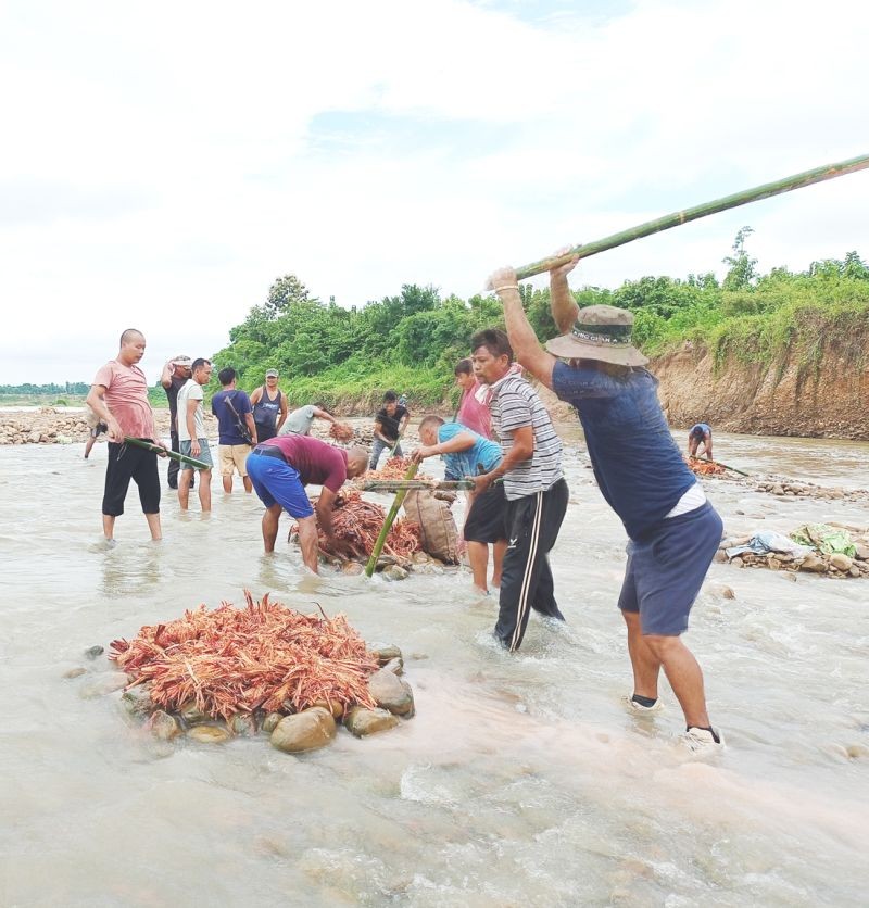 The Eralibill Village Council along with all the citizens of Eralibill village organised ‘a traditional method community fishing’ at Chathe River on August 23. (Photo Courtesy: Cliff Sangma)