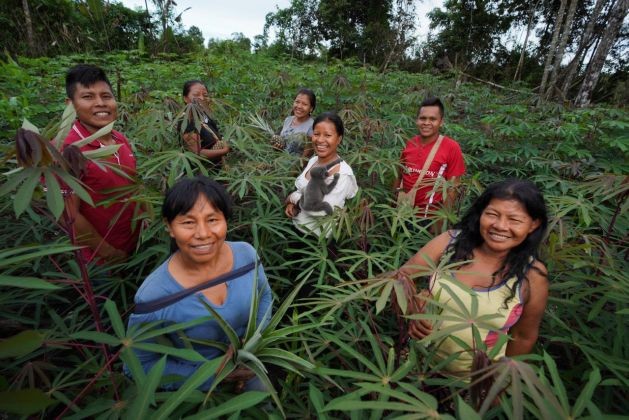 The female guardians of Venezuela’s Imataca Forest Reserve | An FAO-GEF project, which also aims to increase gender equality in the forestry sector, has continued supporting the Kariña women in actively leading the development of their territories and the conservation of the area’s biodiversity. (Photo Courtesy: FAO)