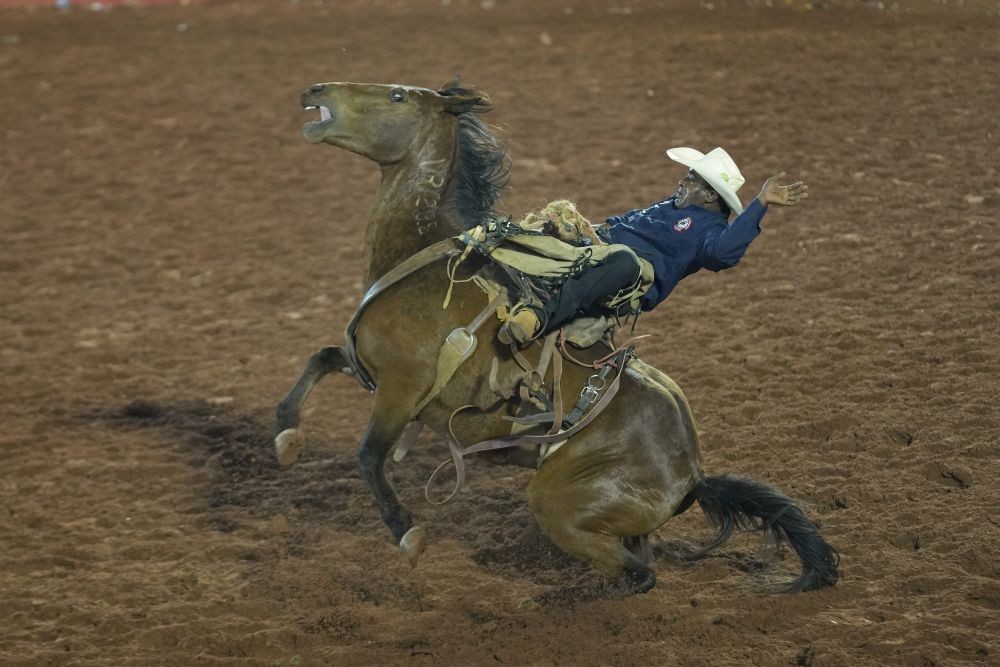 A cowboy battles to stay aboard a horse during horse riding competition at the Barretos Rodeo International Festival in Barretos, Sao Paulo state Brazil, Friday, Aug. 26, 2022. AP/PTI(