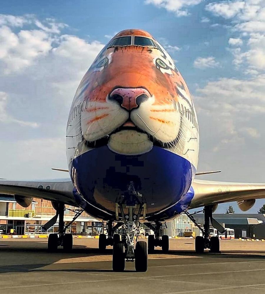 **EDS: TWITTER IMAGE POSTED BY @IndiainNamibia ON THURSDAY, SEPT. 15, 2022** Namibia: A special aeroplane with a picture of tiger in Namibia. Eight cheetahs will travel from Namibia to India to reach Kuno-Palpur National Park in Bhopal. (PTI Photo)
