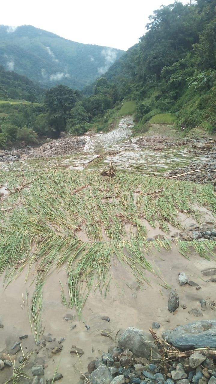 A portion of the paddy fields that were destroyed by mudslide at Kilo Old village in Zunheboto district.