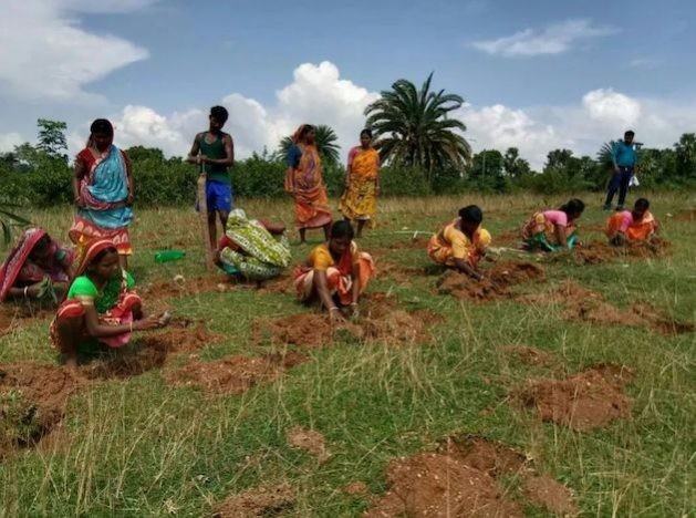 At Jhargram in India’s West Bengal state, farmers have returned to indigenous and organic farming with promising results. Here women farmers prepare seed beds. (Photo Courtesy: Umar Manzoor Shah/IPS)