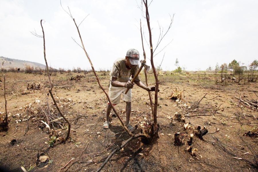 FILE - A farmer chops down what is left of a tree in a burnt down forest in Ankazobe, Madagascar, Nov. 5, 2022. Parts of the forest, west of the capital Antananarivo, were set on fire to make way for farming and firewood. Nearly 50 heads of states or governments on Monday take the stage in the first day of “high-level” international climate talks in Egypt with more to come in following days. (AP Photo/Alexander Joe, File)