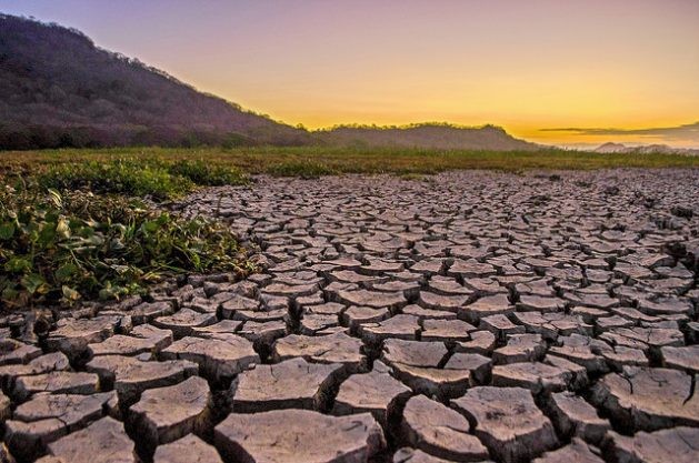 By 2050, droughts may affect an estimated three-quarters of the world’s population. (Credit: Miriet Abrego / IPS)