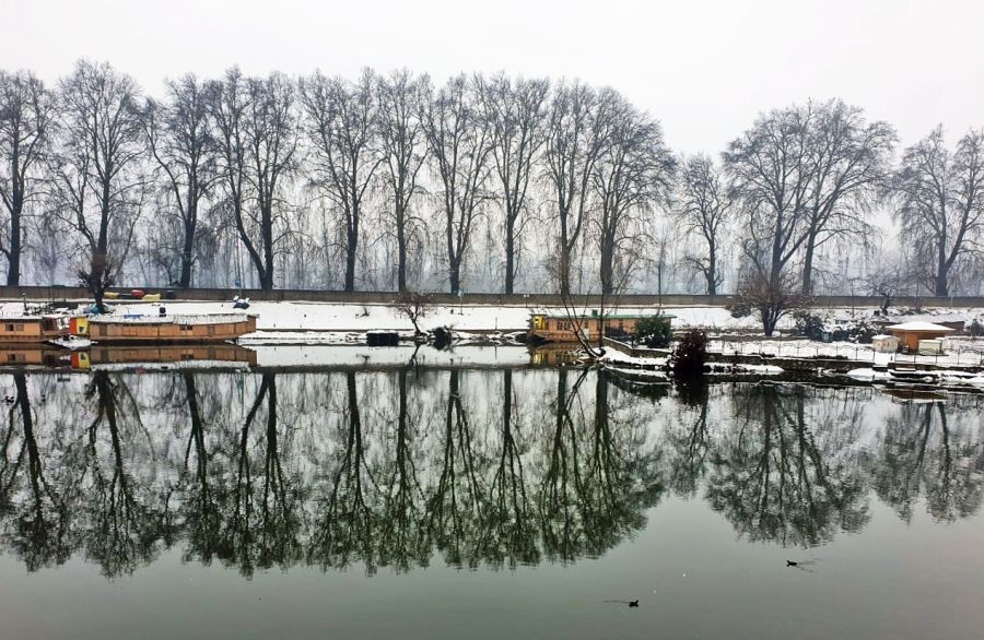 Srinagar : A view of Chinar Garden near Dal Lake after fresh snowfall in Srinagar on Tuesday, Jan 31, 2023. (Photo:IANS/Biplab Banerjee)