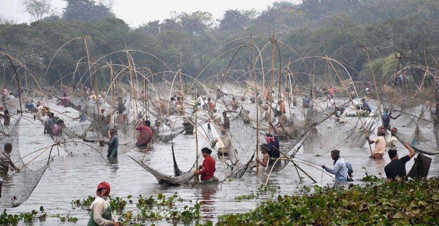 Guwahati:Villagers participate in community fishing on the occasion of Magh Bihu ' festival, at Goraimari Lake at Panbari in Guwahati on Saturday, 14 January 2023.(Photo: Anuwar hazarika/IANS)