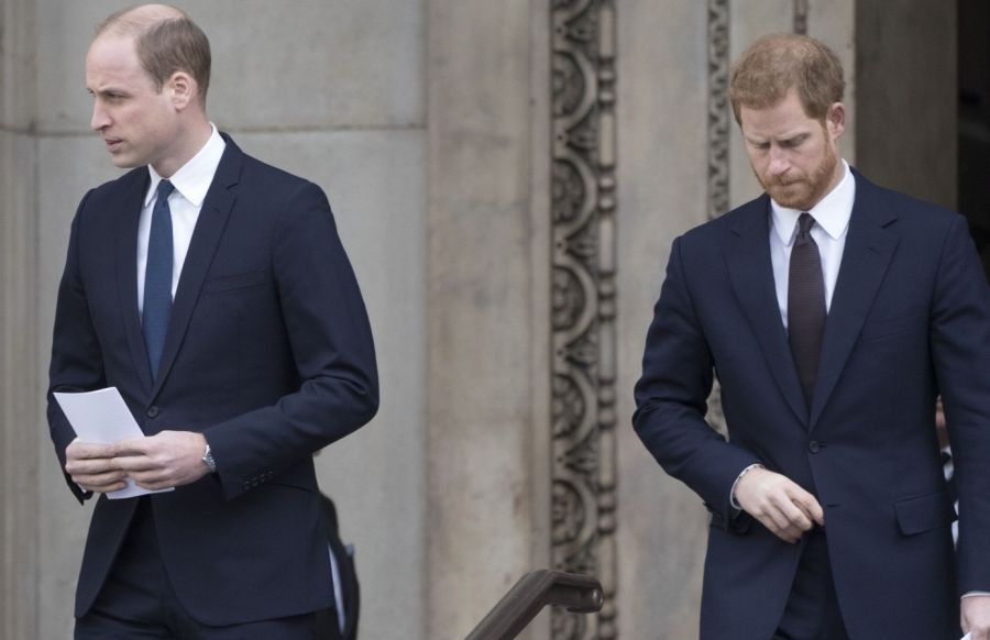 Battle Royale: Harry recounts how William assaulted him, called Meghan 'rude'