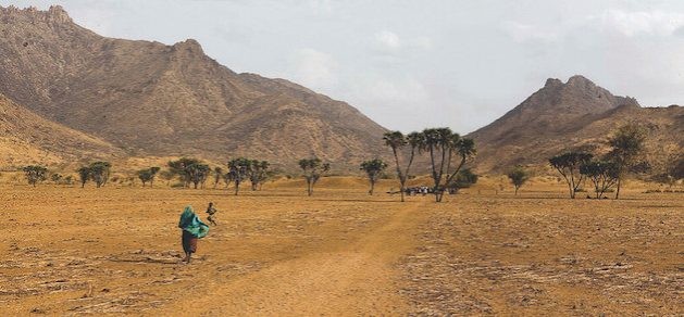 Conflicts and drought in the Sahel are impacting the development of Africa's ambitious Great Green Wall. (Photo Courtesy: UN Chad)