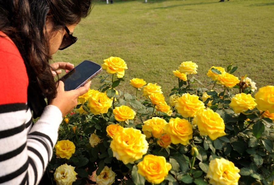 Kolkata: A woman clicks a photo of flowers during Annual Flower Show- 2023 organized by the West Bengal Forest Department at Salt Lake in Kolkata on Feb 3, 2023. (Photo: Kuntal Chakrabarty/IANS)