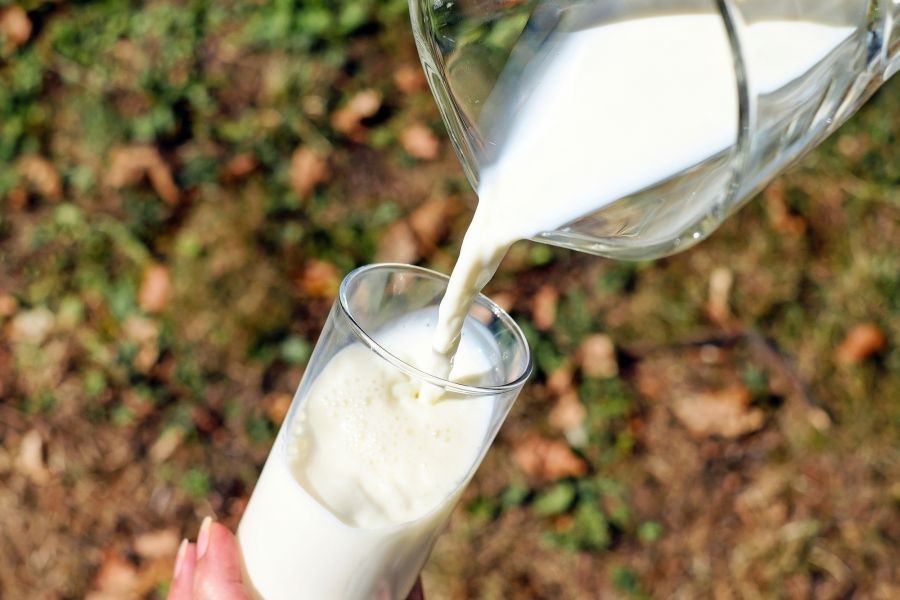 Another shock as milk price reaches Pak Rs 210 a litre in Karachi
