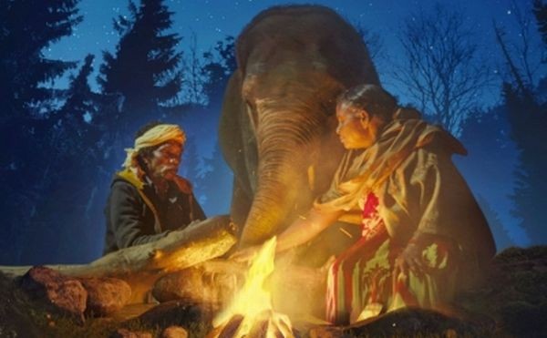 When 'The Elephant Whisperers' director met Raghu, he had no control over his trunk