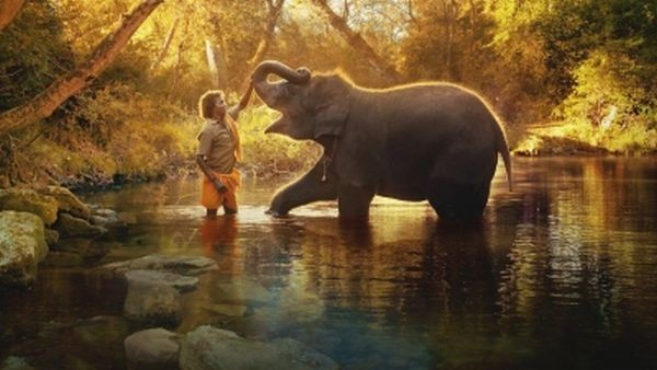 When 'The Elephant Whisperers' director met Raghu, he had no control over his trunk