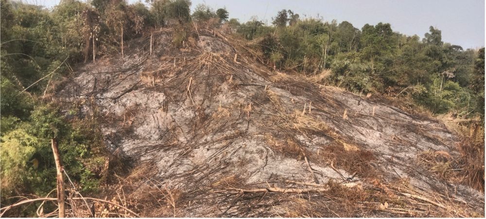 Portion of the field destroyed at Chungtiayimsen village. (Photo Courtesy: Aosenden Village Council)
