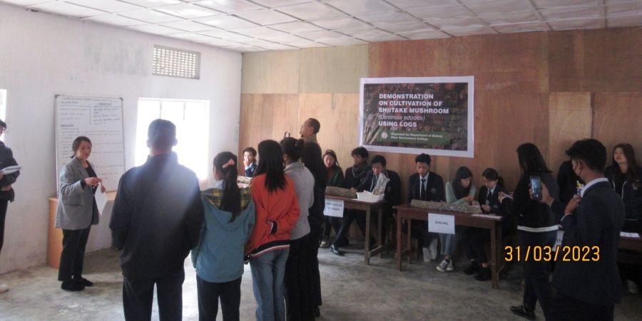 Demonstration programme on cultivation of shiitake mushroom using logs was organised by Department of Botany, Phek Government College on March 31.
