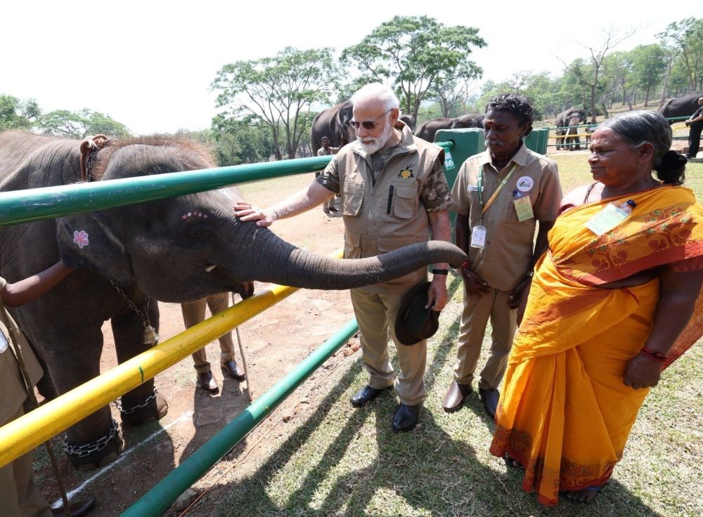 PM Modi visits Theppakadu elephant camp, interacts with Bomman and Bellie.(photo:@narendramodi/Twitter)