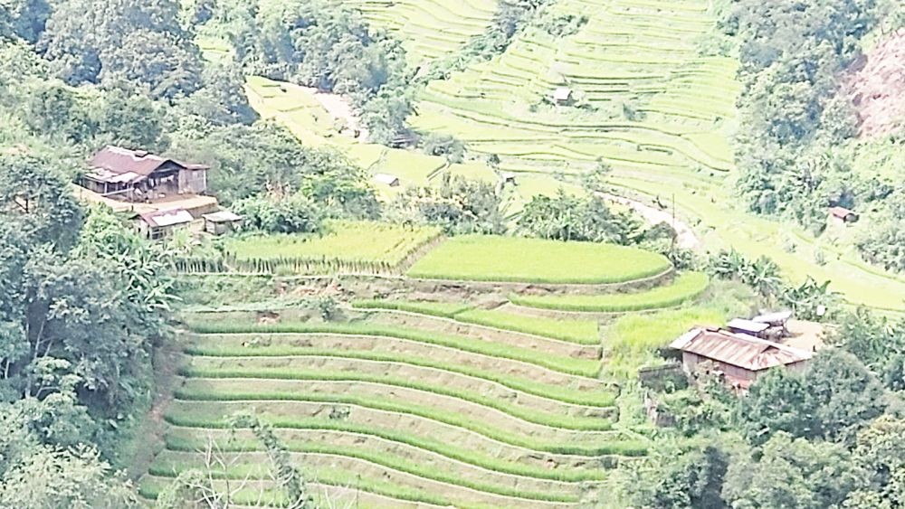 A view of terraced fields somewhere in Nagaland, which  lies under one of the identified 18 Mega hot spot in the world.