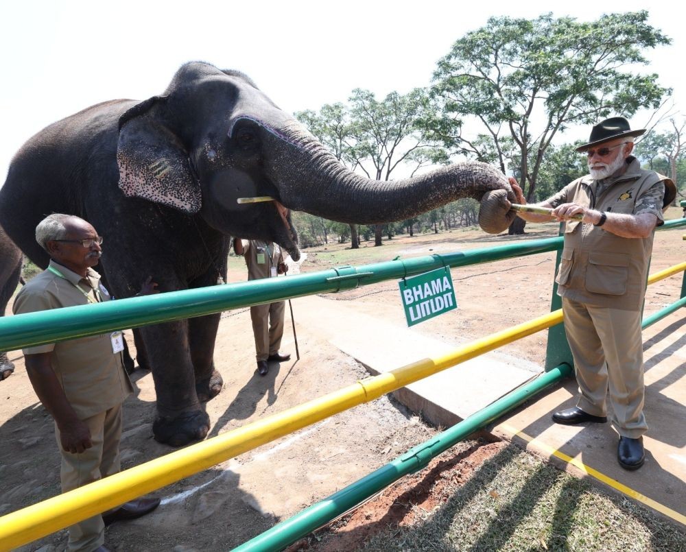 PM Modi visits Theppakadu elephant camp, interacts with Bomman and Bellie.(photo:@narendramodi/Twitter)