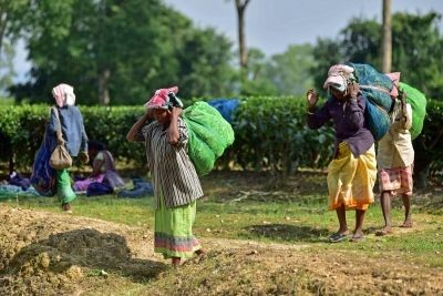 To avoid Manipur-like conflict, Assam govt defers ST status to six ethnic groups