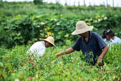 China wants to send record unemployed youth to villages to find work: Report