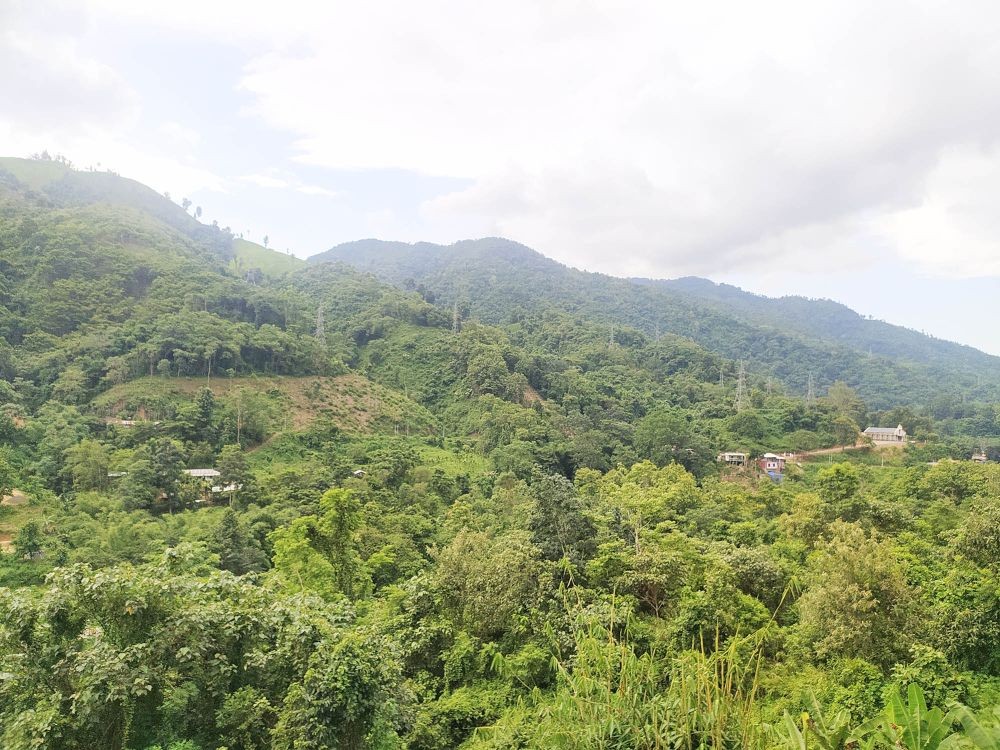 The Forest (Conservation) Amendment Bill, 2023 has given rise to serious concerns on the effects it will have in the North East. (Morung File Photo)