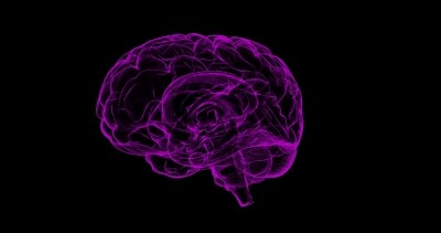 Walking may help improve brain connectivity, memory in elderly