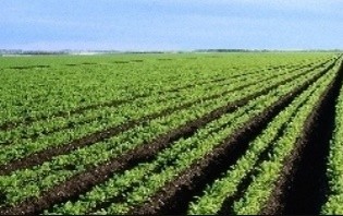 Assam govt signs MoU with Caspian Impact Investment Adviser to launch an SME investment fund to boost agricultural growth and employment
