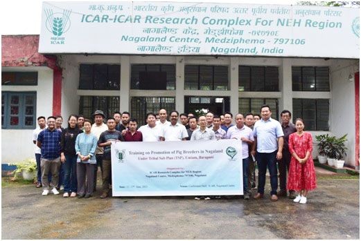 Participants during the training programme on ‘promotion of pig breeders in Nagaland’ organised by ICAR Nagaland Centre, Medziphema from June 13 to 17.