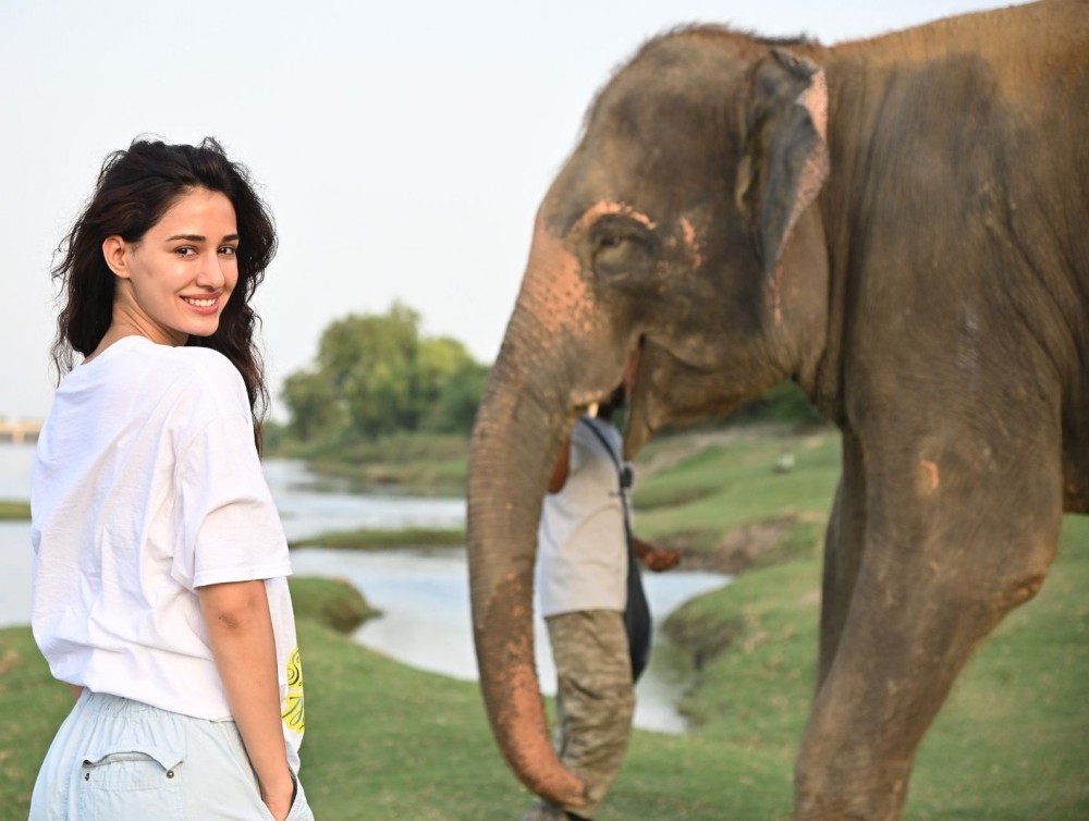 Disha Patani spends two days with elephants to highlight their plight