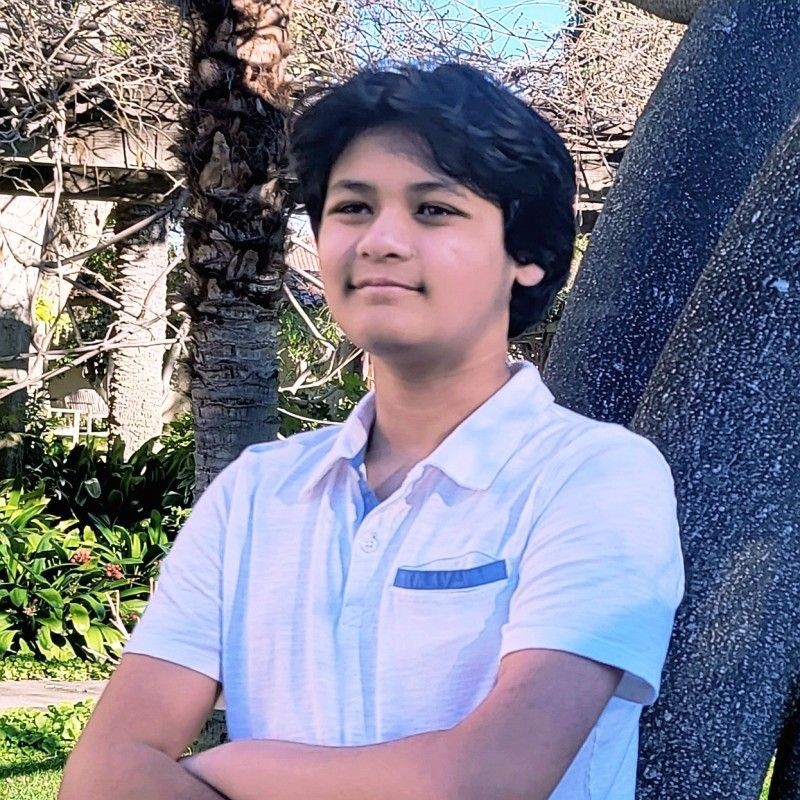 Meet the 14-year-old new software engineer at SpaceX's Starlink