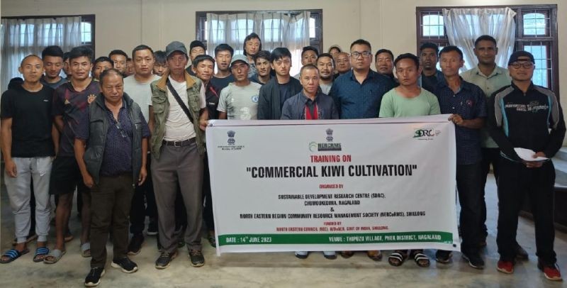 Participants and others during the training on commercial Kiwi cultivation held at Thipüzu village, Phek on June 14.