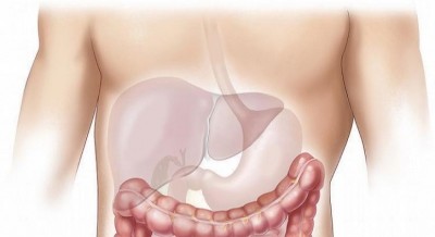 New dialysis device safe & effective for treating severe liver failure
